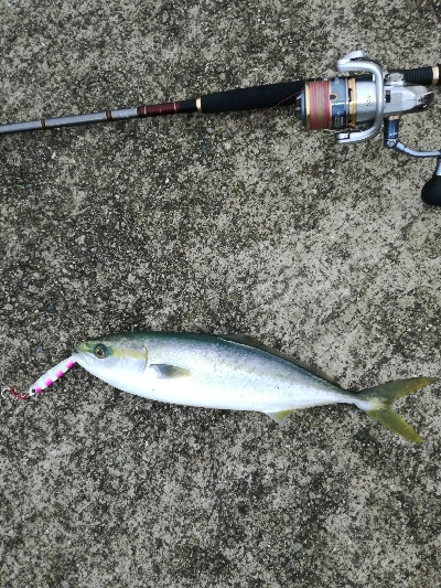 ベイトは多いが