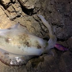 またまたうねりが、、、