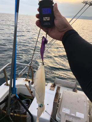 テップランで良型連発