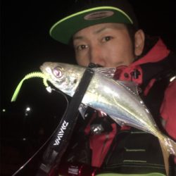 アジングフィーバー☆GUNNING-STYLE