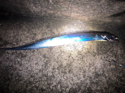 ふらっとタッチ〜