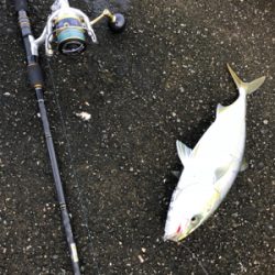 渋い日でした〜