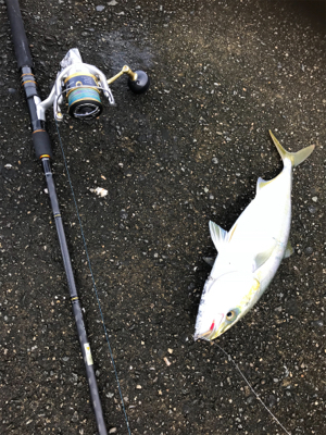 渋い日でした〜