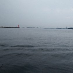 初泉佐野一文字