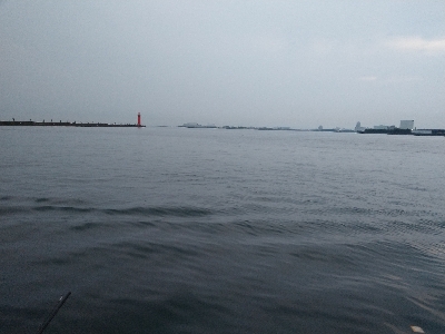 初泉佐野一文字