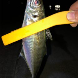 尺までもうちょっと