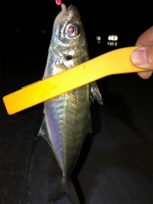 尺までもうちょっと