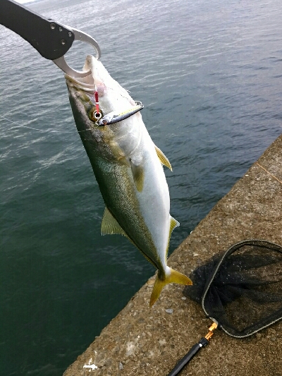 チャンスは足下にある！