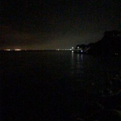 豆アジポツポツ