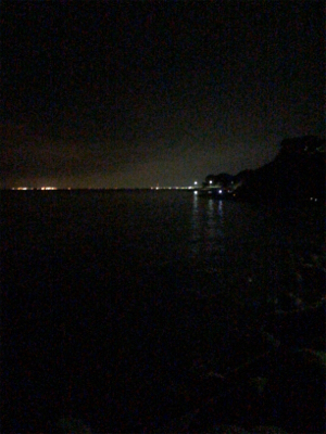 豆アジポツポツ