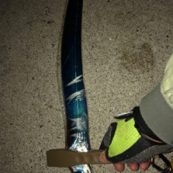 シーバスが釣れなかっので。。。