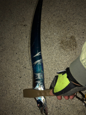 シーバスが釣れなかっので。。。