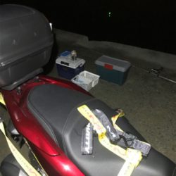 今年、初太刀魚