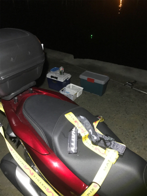 今年、初太刀魚