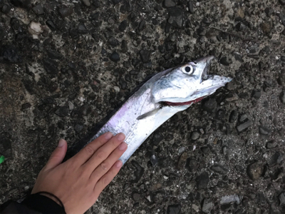 初メーター超え！