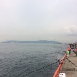 水潮のち、ぼちぼち