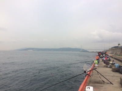 水潮のち、ぼちぼち