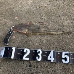 昼からのジギング*エギング‼︎