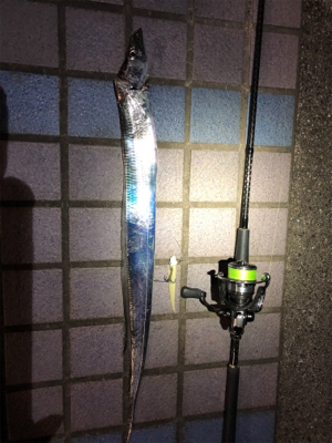 タチウオワインド