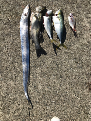 沖堤防は、ヤバイ！