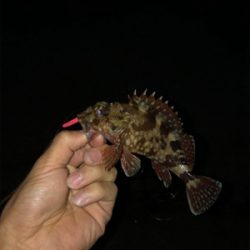 昼間の気温から激変