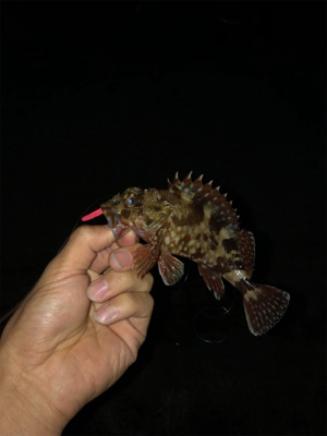 昼間の気温から激変