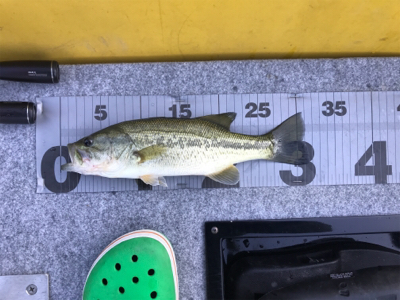 午前中ボート釣行！