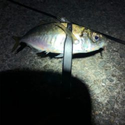 ライトゲーム‼︎