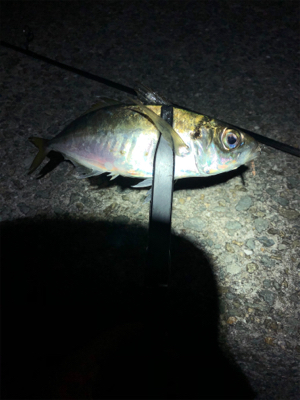 ライトゲーム‼︎