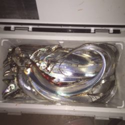 神戸港は活性高い!