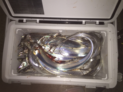 神戸港は活性高い！