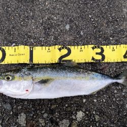 雨の中ショアジギ