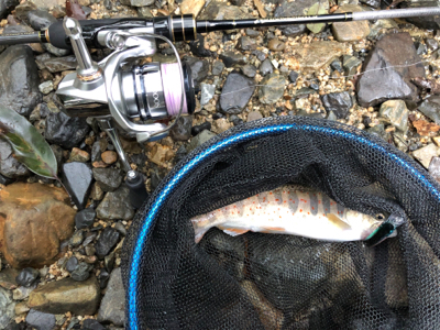 雨の後の渓流釣り　