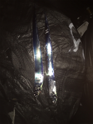 タチウオ 夕まずめ