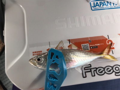 久々のサビキ釣り