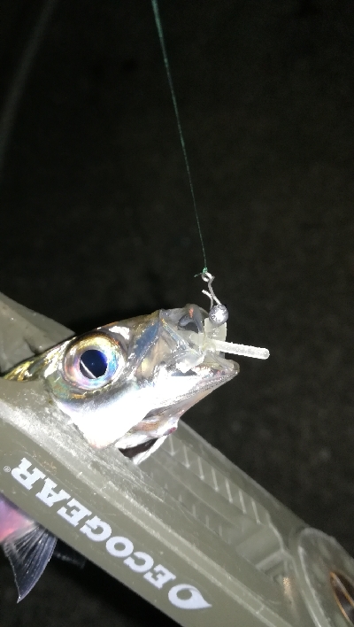 ナイトアジング