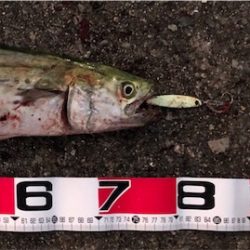 まさかの大物^_^