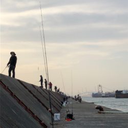 カラーチェンジが大事です