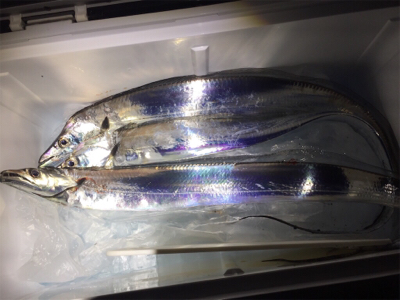 アタリは多いが、、、