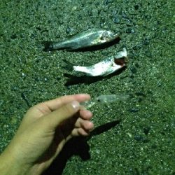 透明プラグ良か