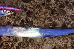 攻め方が裏目に、、、