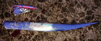 攻め方が裏目に、、、