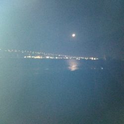 サバの猛攻に屈する