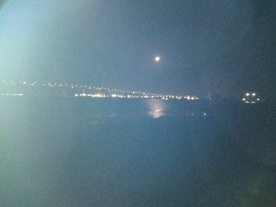 サバの猛攻に屈する