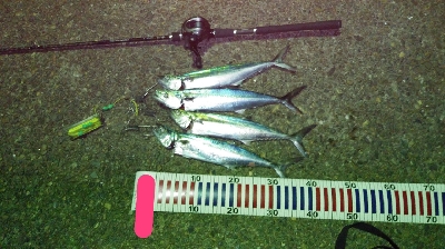 ショアジギングにて