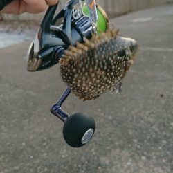 ラスト1投やり直し3回目!