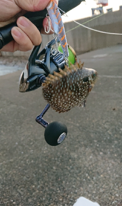 ラスト1投やり直し3回目!