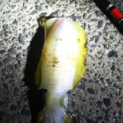 雨の中粘り勝ち