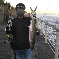 コスモまだ行けるやん!