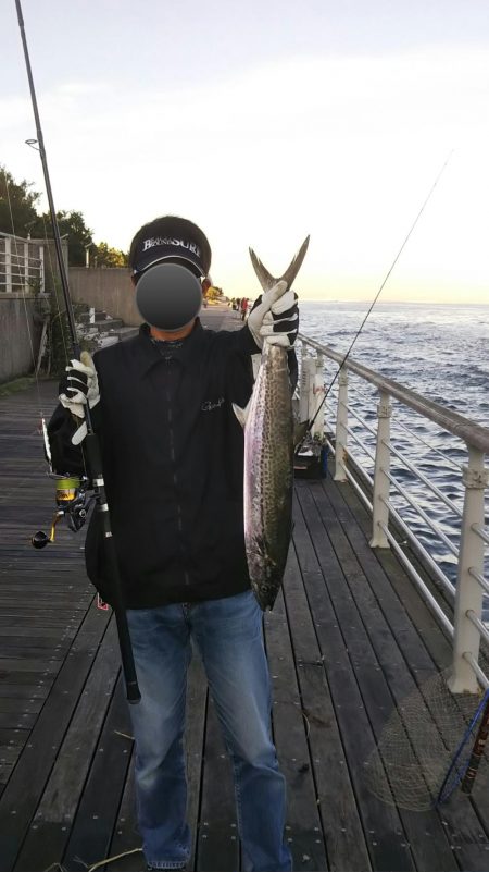 コスモまだ行けるやん！